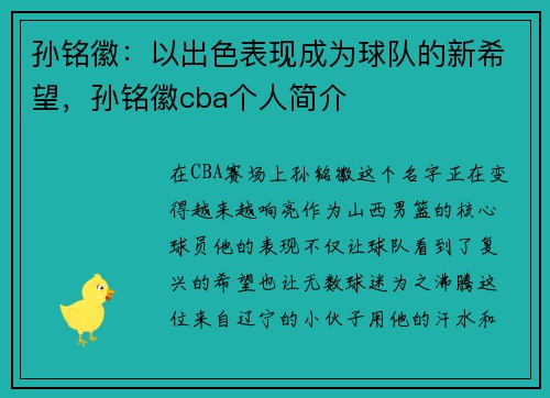 孙铭徽：以出色表现成为球队的新希望，孙铭徽cba个人简介